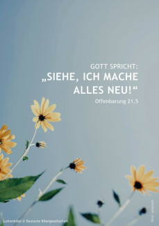 Jahreslosung_2026 (A5) - 3
